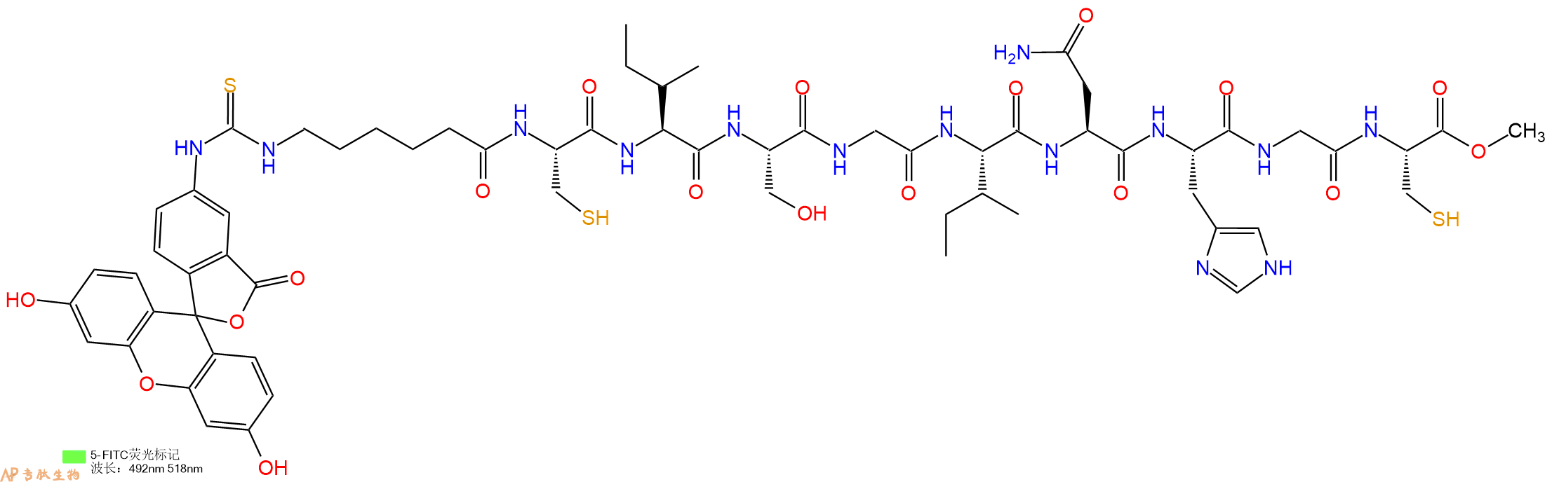 专肽生物产品5FITC-Ahx-Cys-Ile-Ser-Gly-Ile-Asn-His-Gly-Cys-OMe