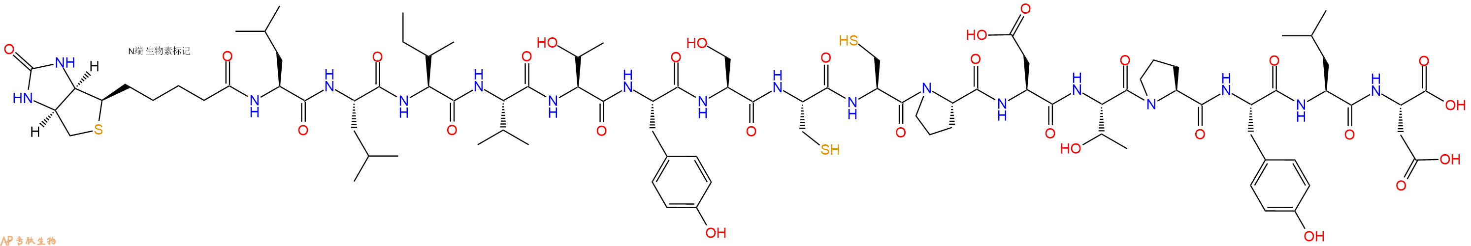 专肽生物产品Biotinyl-Leu-Leu-Ile-Val-Thr-Tyr-Ser-Cys-Cys-Pro-Asp-Thr-Pro-Tyr-Leu-Asp-OH