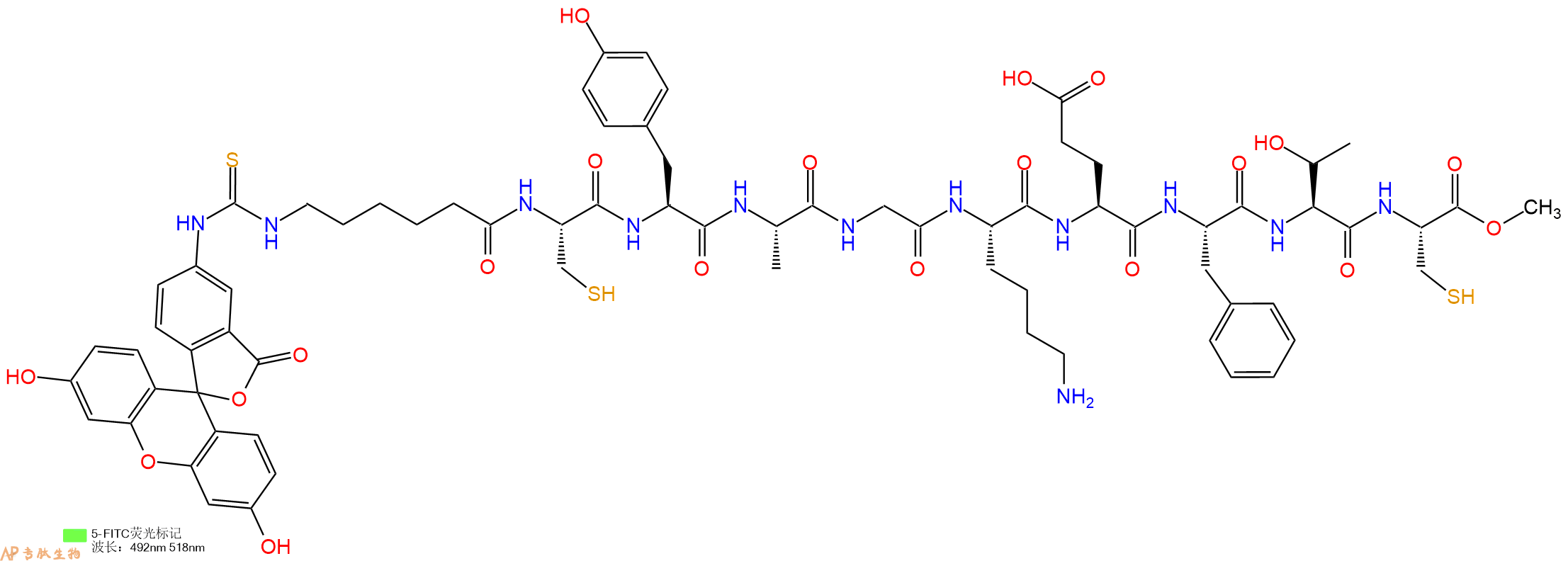 专肽生物产品5FITC-Ahx-Cys-Tyr-Ala-Gly-Lys-Glu-Phe-Thr-Cys-OMe