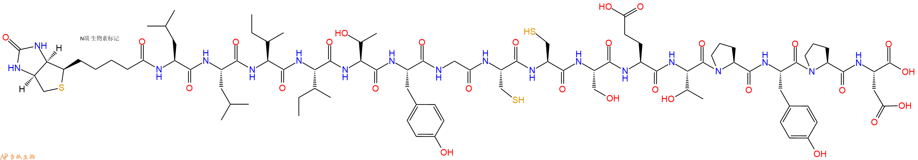 专肽生物产品Biotinyl-Leu-Leu-Ile-Ile-Thr-Tyr-Gly-Cys-Cys-Ser-Glu-Thr-Pro-Tyr-Pro-Asp-OH