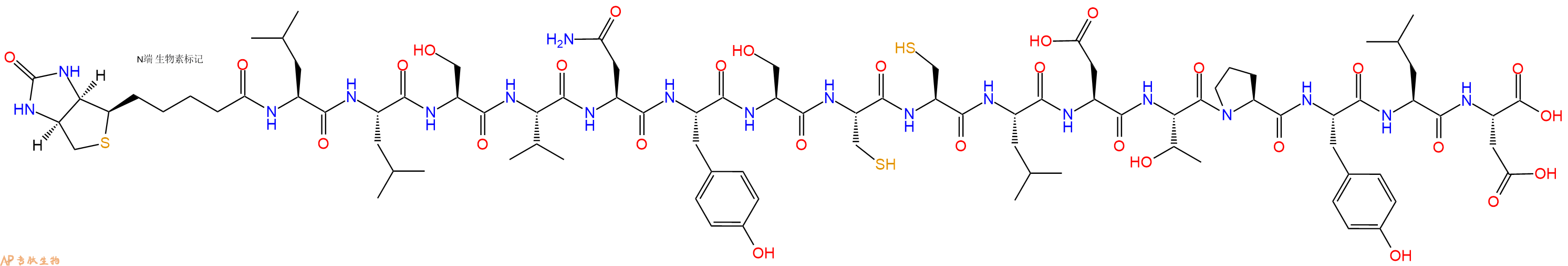 专肽生物产品Biotinyl-Leu-Leu-Ser-Val-Asn-Tyr-Ser-Cys-Cys-Leu-Asp-Thr-Pro-Tyr-Leu-Asp-OH