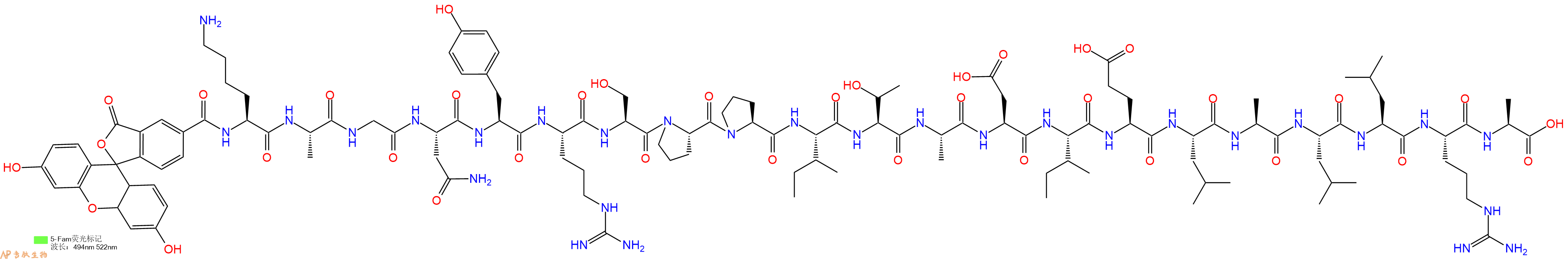 专肽生物产品5FAM-Lys-Ala-Gly-Asn-Tyr-Arg-Ser-Pro-Pro-Ile-Thr-Ala-Asp-Ile-Glu-Leu-Ala-Leu-Leu-Arg-Ala-OH
