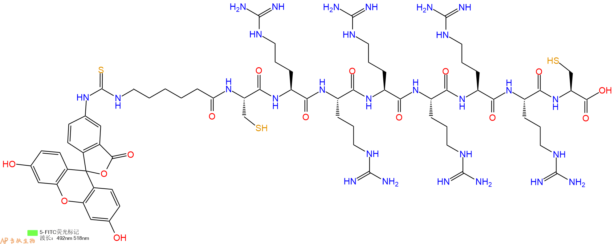 专肽生物产品5FITC-Ahx-Cys-Arg-Arg-Arg-Arg-Arg-Arg-Cys-OH