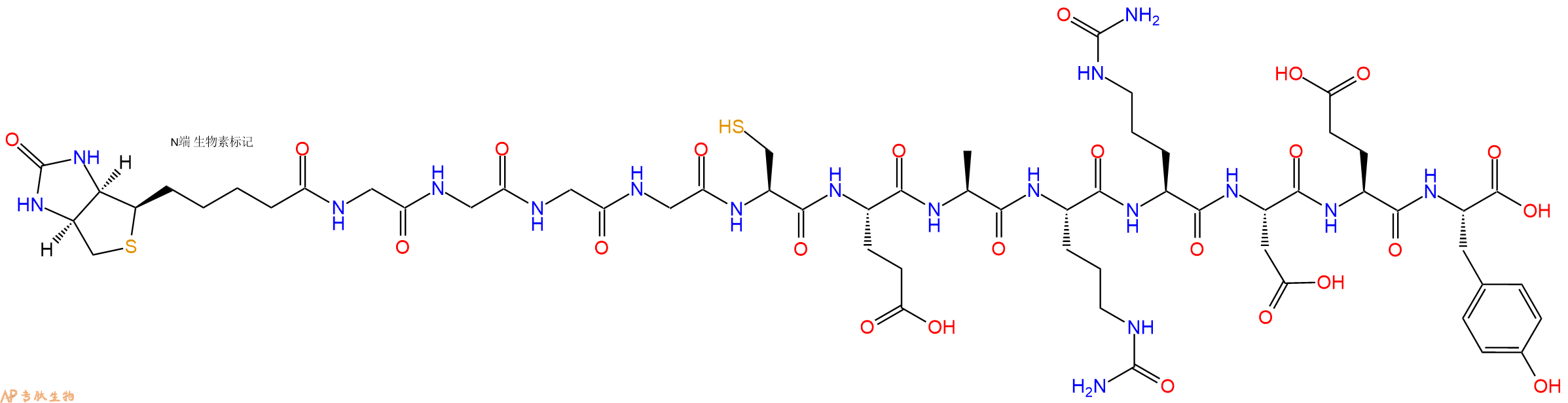 专肽生物产品Biotinyl-Gly-Gly-Gly-Gly-Cys-Glu-Ala-Cit-Cit-Asp-Glu-Tyr-OH