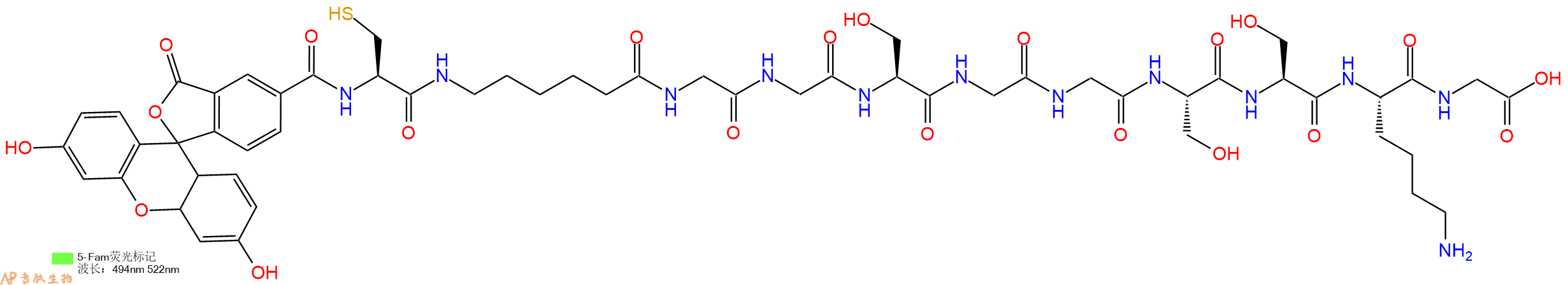 专肽生物产品5FAM-Cys-Ahx-Gly-Gly-Ser-Gly-Gly-Ser-Ser-Lys-Gly-OH