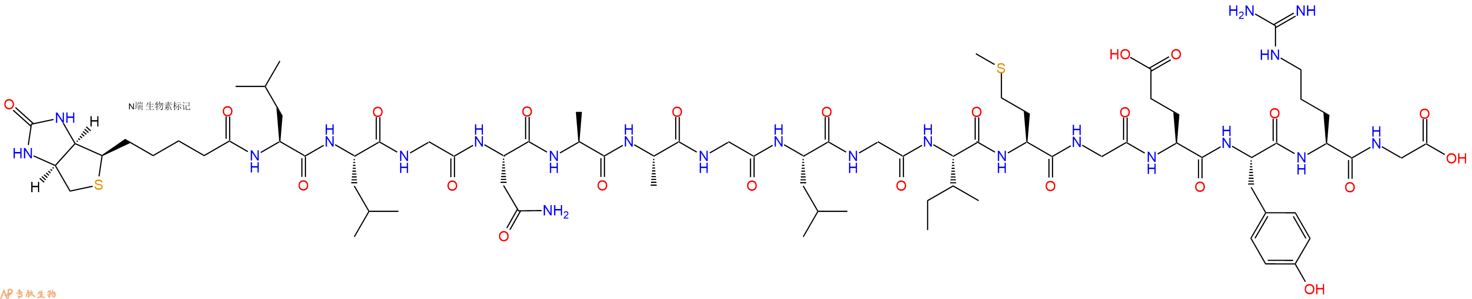 专肽生物产品Biotinyl-Leu-Leu-Gly-Asn-Ala-Ala-Gly-Leu-Gly-Ile-Met-Gly-Glu-Tyr-Arg-Gly-OH