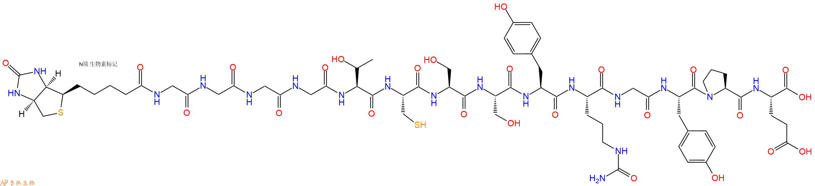 专肽生物产品Biotinyl-Gly-Gly-Gly-Gly-Thr-Cys-Ser-Ser-Tyr-Cit-Gly-Tyr-Pro-Glu-OH