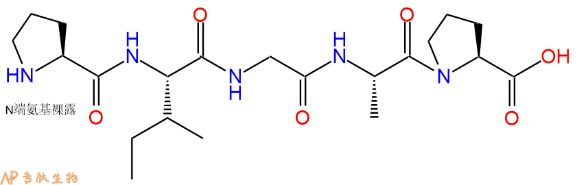 专肽生物产品H2N-Pro-Ile-Gly-Ala-Pro-OH