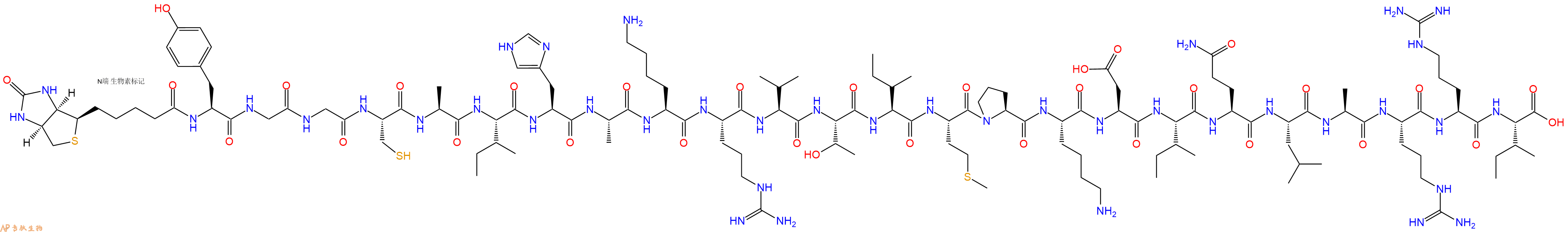专肽生物产品Biotinyl-Tyr-Gly-Gly-Cys-Ala-Ile-His-Ala-Lys-Arg-Val-Thr-Ile-Met-Pro-Lys-Asp-Ile-Gln-Leu-Ala-Arg-Arg-Ile-OH
