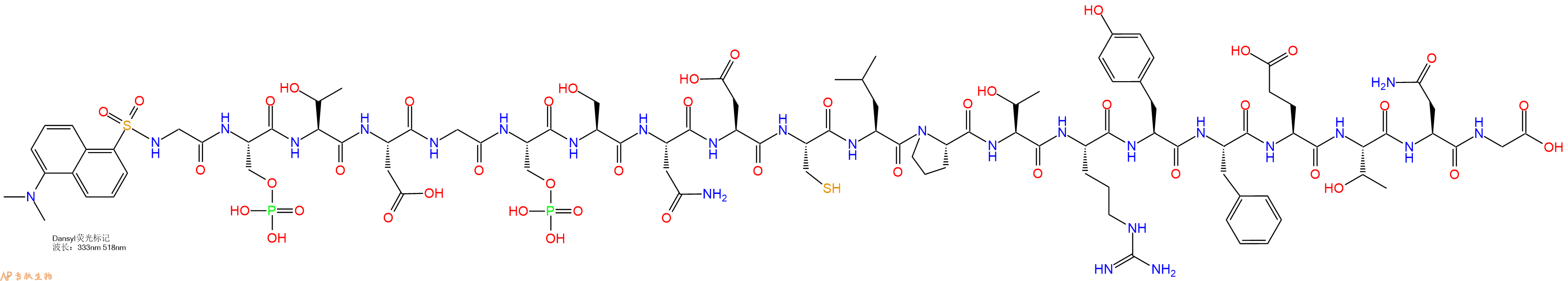 专肽生物产品Dansyl-Gly-Ser(PO3H2)-Thr-Asp-Gly-Ser(PO3H2)-Ser-Asn-Asp-Cys-Leu-Pro-Thr-Arg-Tyr-Phe-Glu-Thr-Asn-Gly-OH
