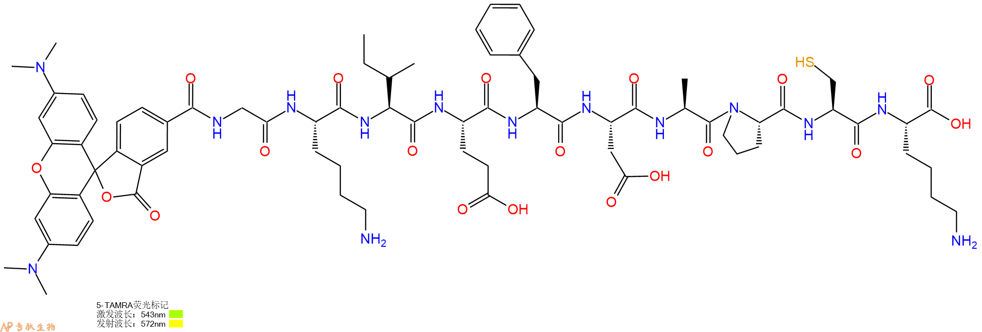 专肽生物产品5TAMRA-Gly-Lys-Ile-Glu-Phe-Asp-Ala-Pro-Cys-Lys-OH