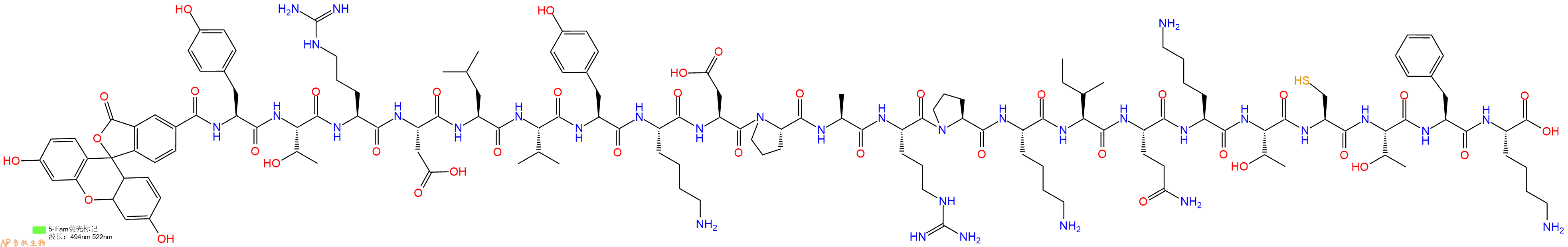 专肽生物产品5FAM-Tyr-Thr-Arg-Asp-Leu-Val-Tyr-Lys-Asp-Pro-Ala-Arg-Pro-Lys-Ile-Gln-Lys-Thr-Cys-Thr-Phe-Lys-OH