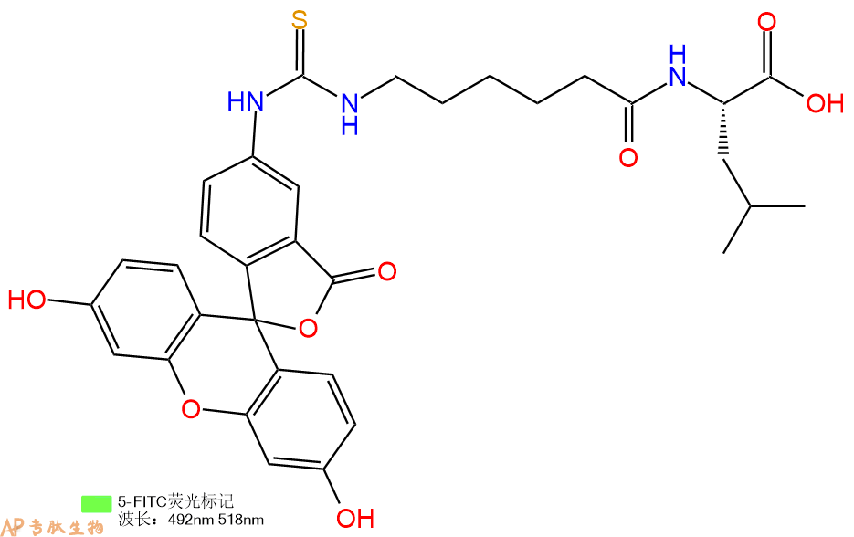 专肽生物产品5FITC-Ahx-Leu-OH
