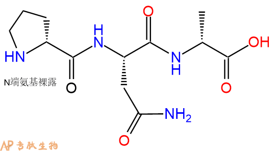 专肽生物产品H2N-DPro-Asn-DAla-OH