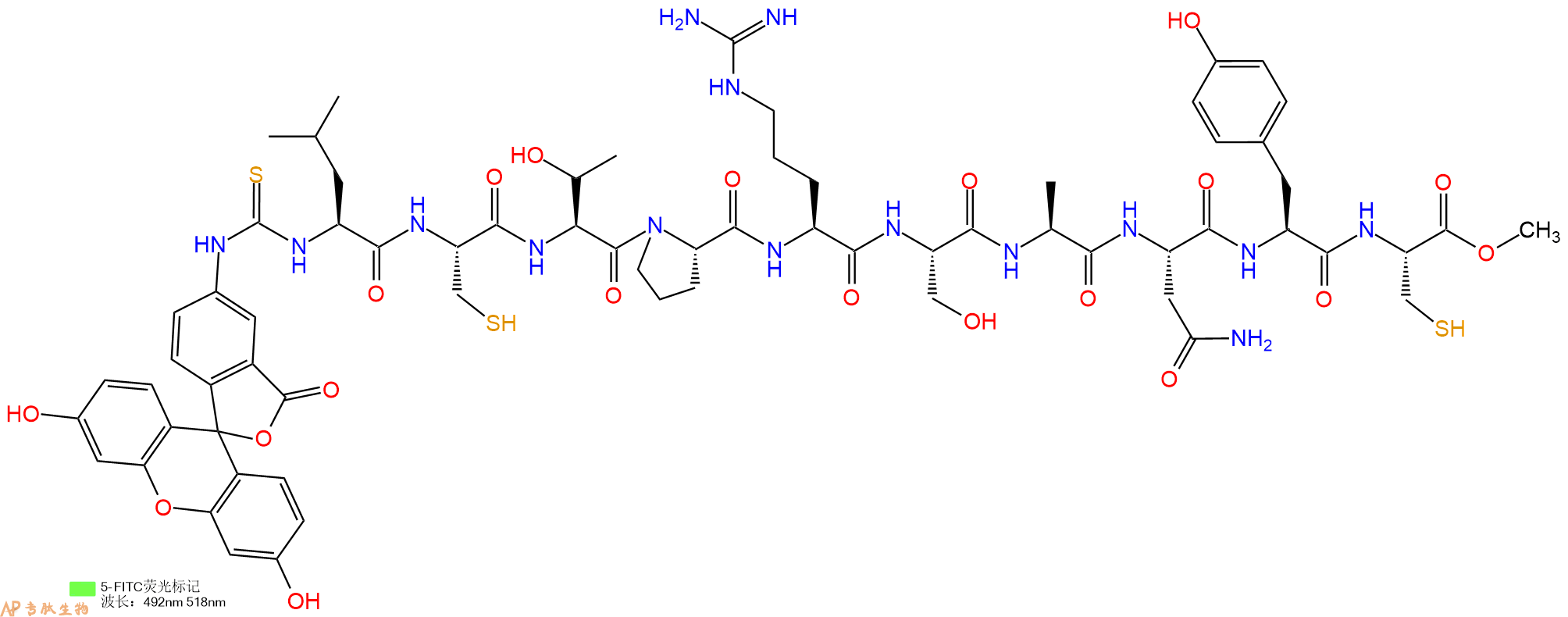 专肽生物产品5FITC-Leu-Cys-Thr-Pro-Arg-Ser-Ala-Asn-Tyr-Cys-OMe