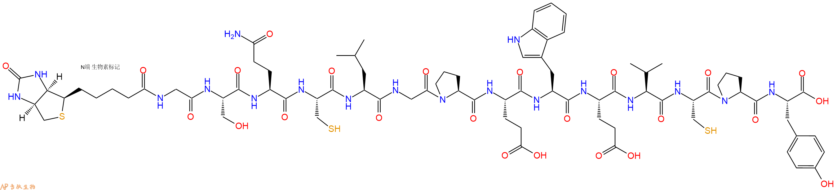 专肽生物产品Biotinyl-Gly-Ser-Gln-Cys-Leu-Gly-Pro-Glu-Trp-Glu-Val-Cys-Pro-Tyr-OH