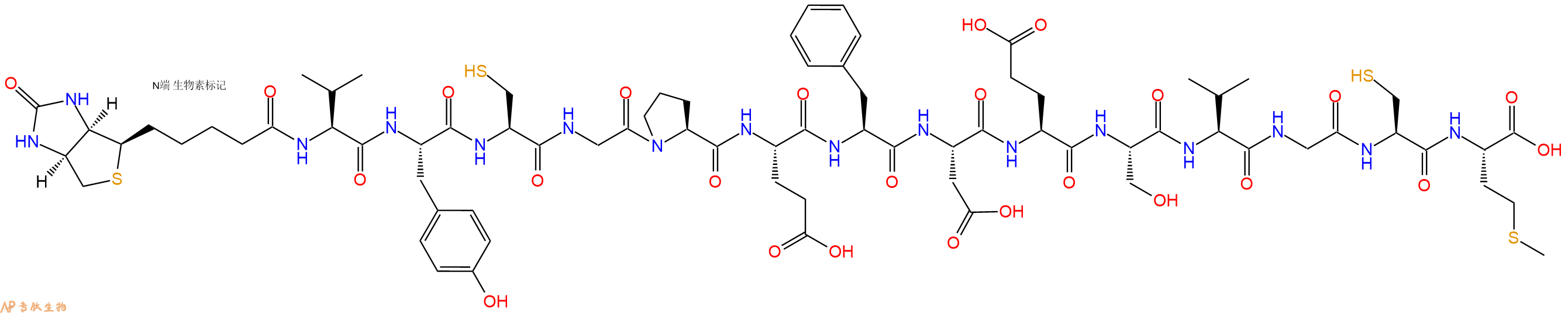 专肽生物产品Biotinyl-Val-Tyr-Cys-Gly-Pro-Glu-Phe-Asp-Glu-Ser-Val-Gly-Cys-Met-OH