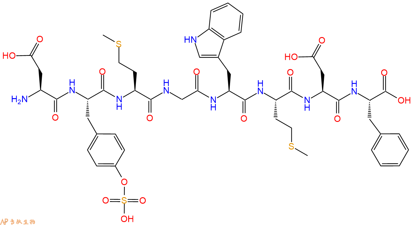 专肽生物产品H2N-Asp-Tyr(SO3H)-Met-Gly-Trp-Met-Asp-Phe-OH