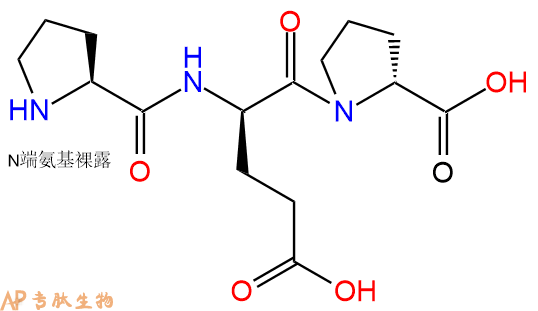 专肽生物产品H2N-Pro-DGlu-DPro-OH