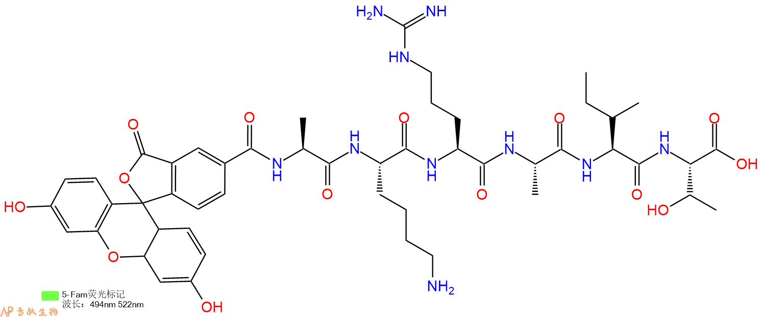 专肽生物产品5FAM-Ala-Lys-Arg-Ala-Ile-Thr-OH