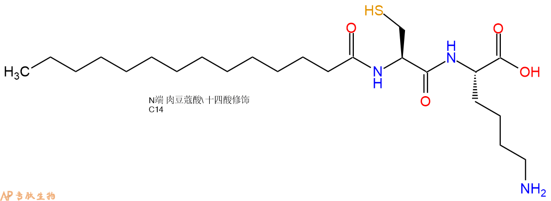 专肽生物产品Myristicacid-Cys-Lys-OH
