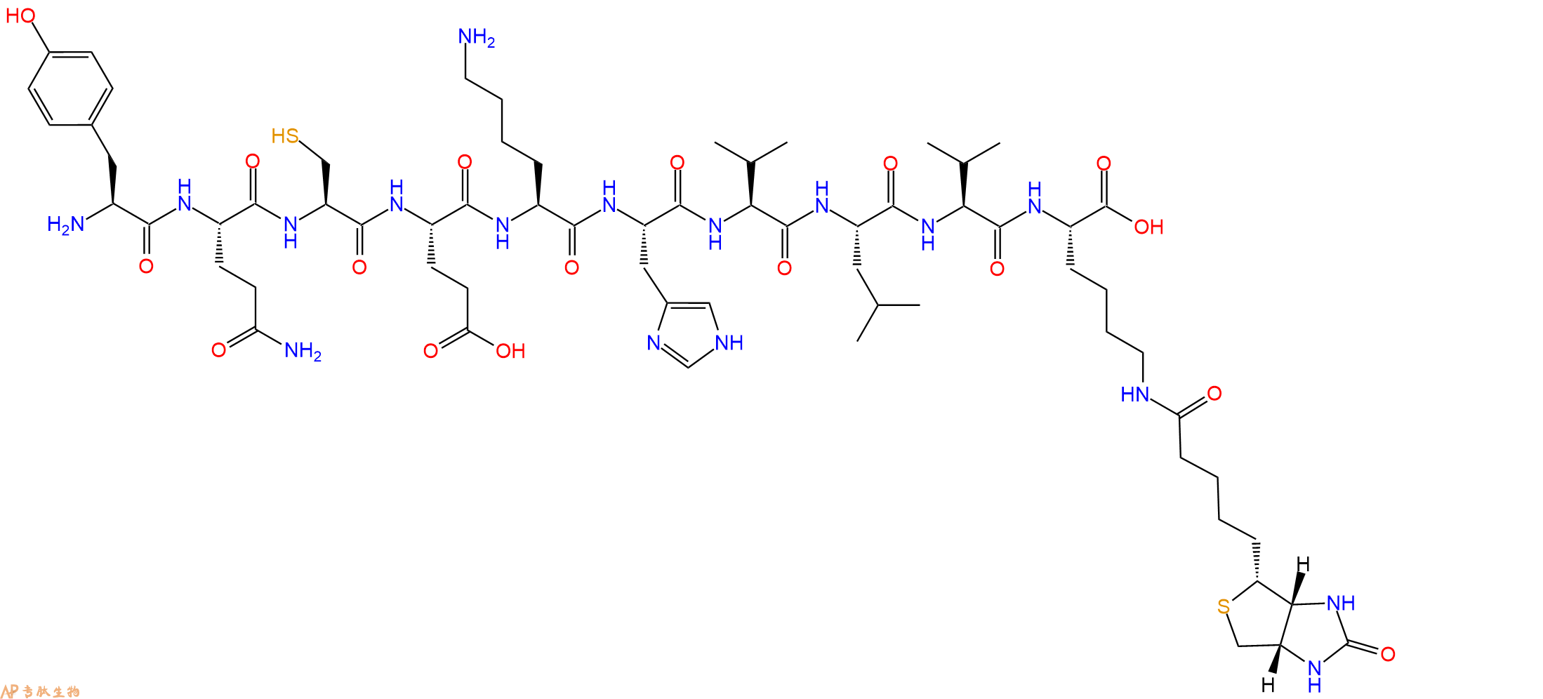 专肽生物产品H2N-Tyr-Gln-Cys-Glu-Lys-His-Val-Leu-Val-Lys(Biotin)-OH