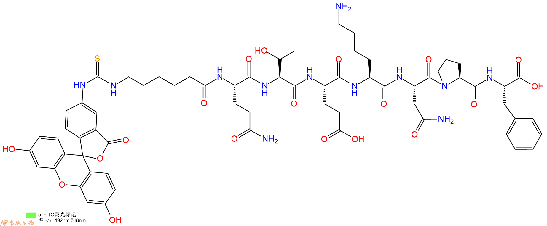 专肽生物产品5FITC-Ahx-Gln-Thr-Glu-Lys-Asn-Pro-Phe-OH