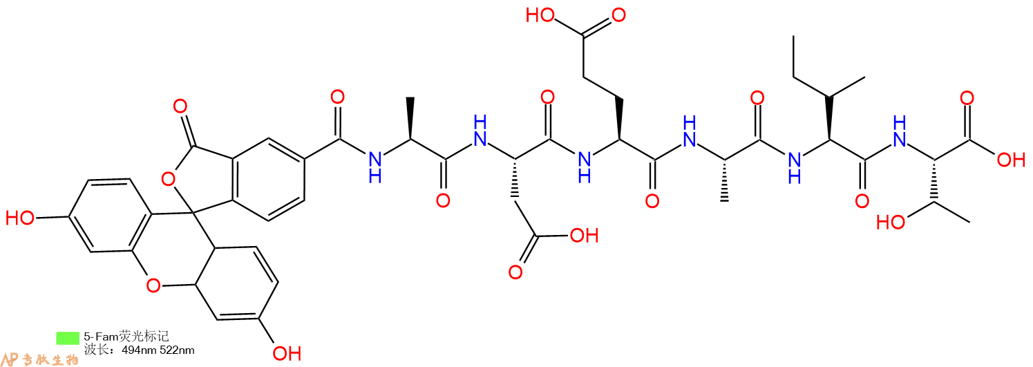 专肽生物产品5FAM-Ala-Asp-Glu-Ala-Ile-Thr-OH
