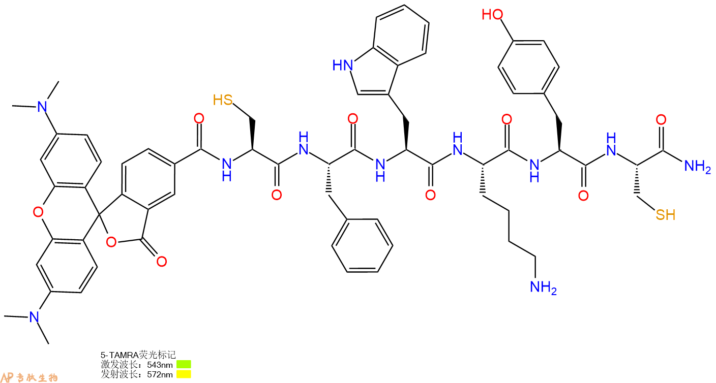 专肽生物产品5TAMRA-Cys-Phe-Trp-Lys-Tyr-Cys-CONH2