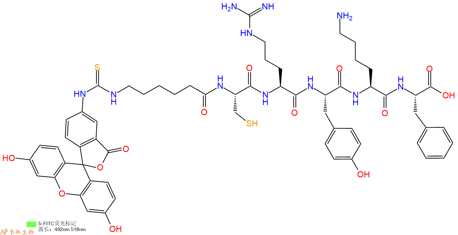 专肽生物产品5FITC-Ahx-Cys-Arg-Tyr-Lys-Phe-OH