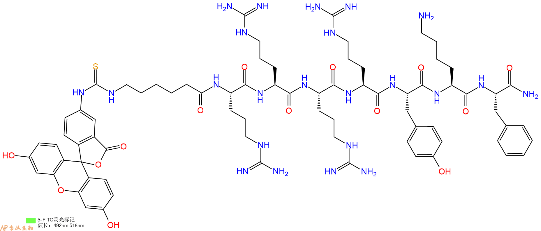 专肽生物产品5FITC-Ahx-Arg-Arg-Arg-Arg-Tyr-Lys-Phe-CONH2
