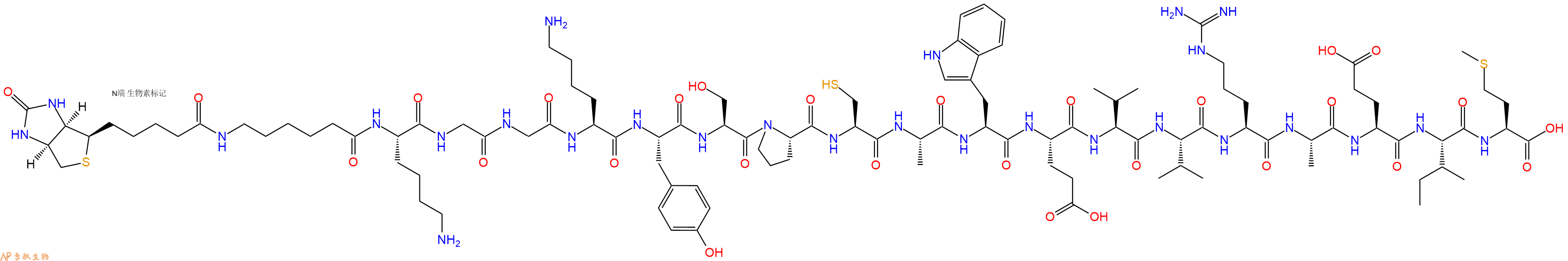 专肽生物产品Biotinyl-Ahx-Lys-Gly-Gly-Lys-Tyr-Ser-Pro-Cys-Ala-Trp-Glu-Val-Val-Arg-Ala-Glu-Ile-Met-OH