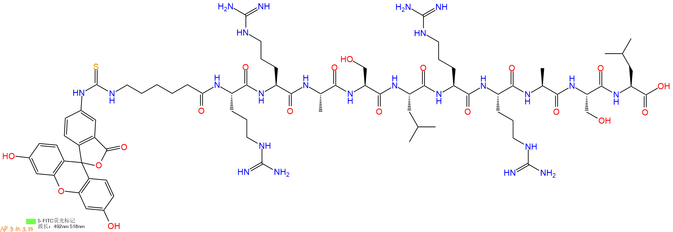 专肽生物产品5FITC-Ahx-Arg-Arg-Ala-Ser-Leu-Arg-Arg-Ala-Ser-Leu-OH