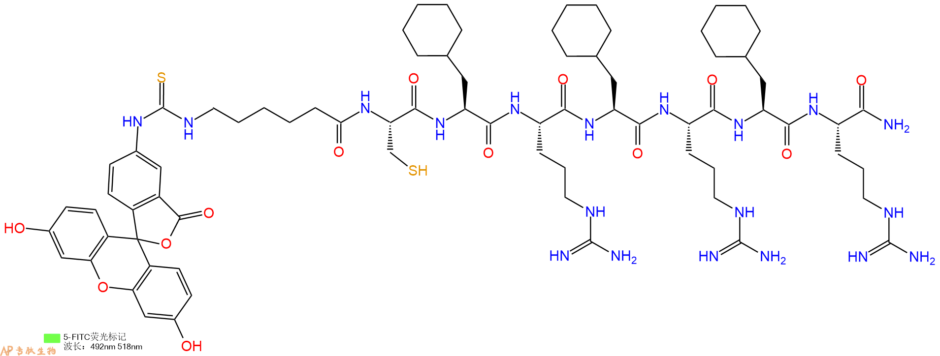 专肽生物产品5FITC-Ahx-Cys-Cha-Arg-Cha-Arg-Cha-Arg-CONH2