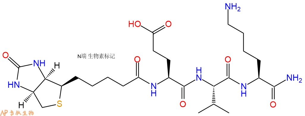 专肽生物产品Biotinyl-Glu-Val-Lys-CONH2