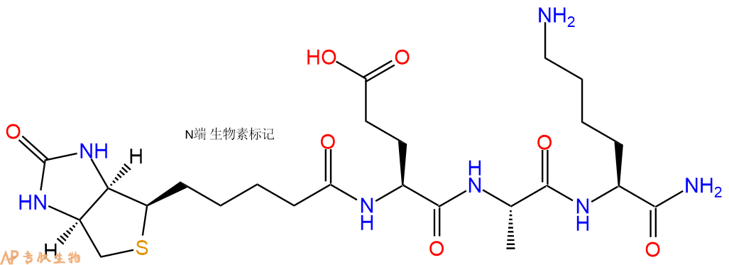 专肽生物产品Biotinyl-Glu-Ala-Lys-CONH2
