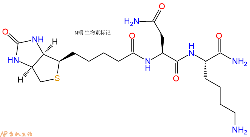专肽生物产品Biotinyl-Asn-Lys-CONH2