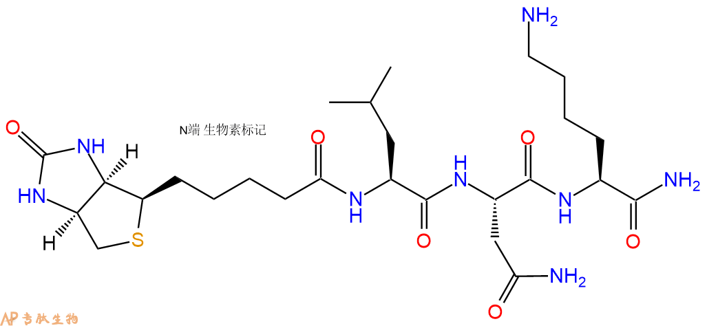专肽生物产品Biotinyl-Leu-Asn-Lys-CONH2
