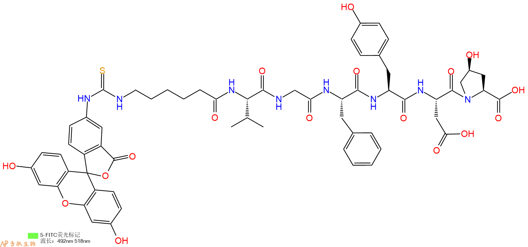 专肽生物产品5FITC-Ahx-Val-Gly-Phe-Tyr-Asp-Hyp-OH