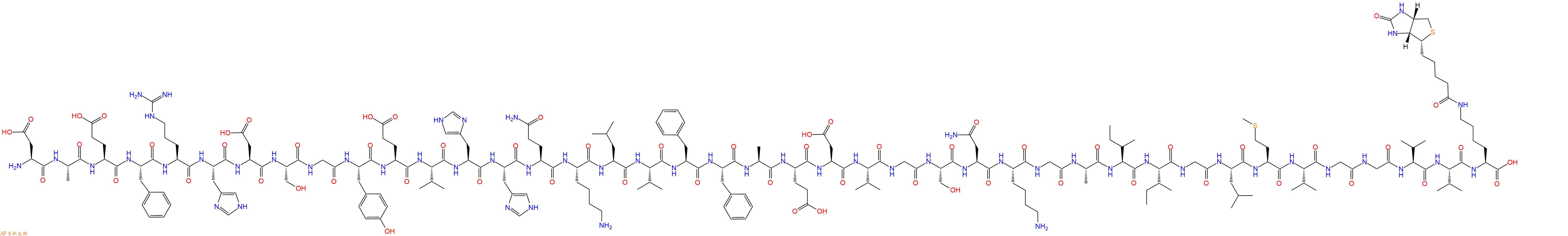 专肽生物产品H2N-Asp-Ala-Glu-Phe-Arg-His-Asp-Ser-Gly-Tyr-Glu-Val-His-His-Gln-Lys-Leu-Val-Phe-Phe-Ala-Glu-Asp-Val-Gly-Ser-Asn-Lys-Gly-Ala-Ile-Ile-Gly-Leu-Met-Val-Gly-Gly-Val-Val-Lys(Biotin)-OH