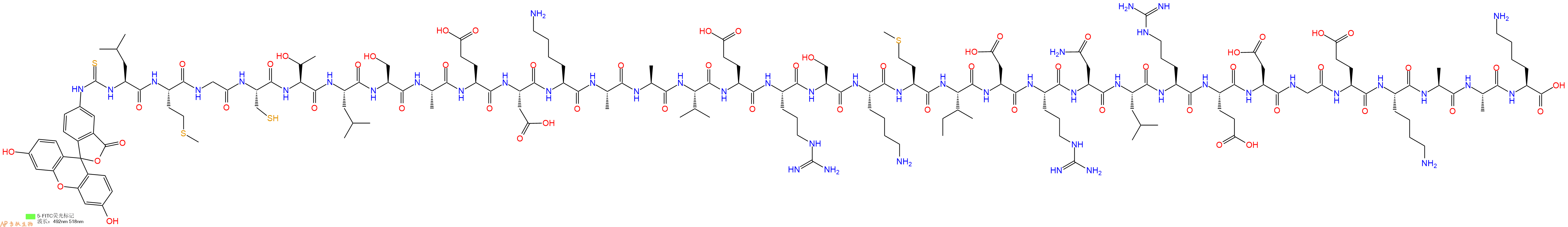 专肽生物产品5FITC-Leu-Met-Gly-Cys-Thr-Leu-Ser-Ala-Glu-Asp-Lys-Ala-Ala-Val-Glu-Arg-Ser-Lys-Met-Ile-Asp-Arg-Asn-Leu-Arg-Glu-Asp-Gly-Glu-Lys-Ala-Ala-Lys-OH