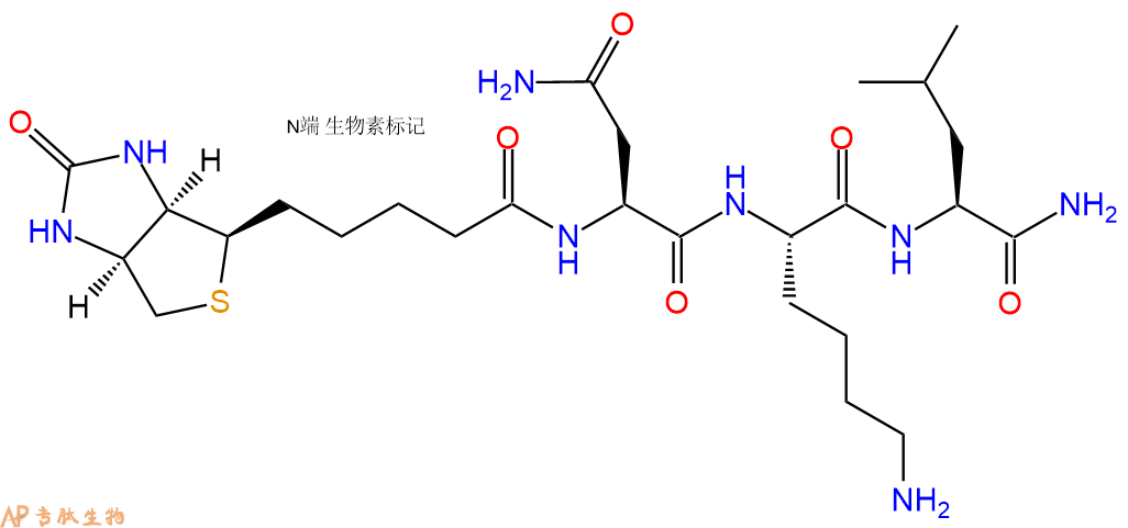 专肽生物产品Biotinyl-Asn-Lys-Leu-CONH2