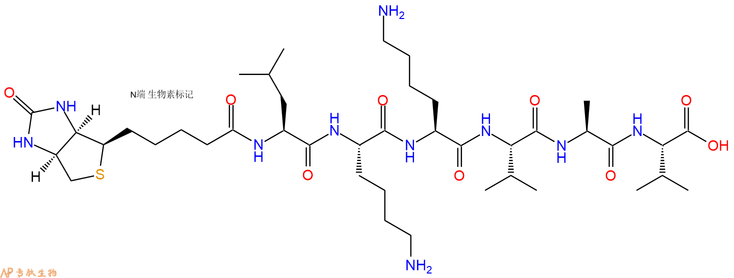 专肽生物产品Biotinyl-Leu-Lys-Lys-Val-Ala-Val-OH