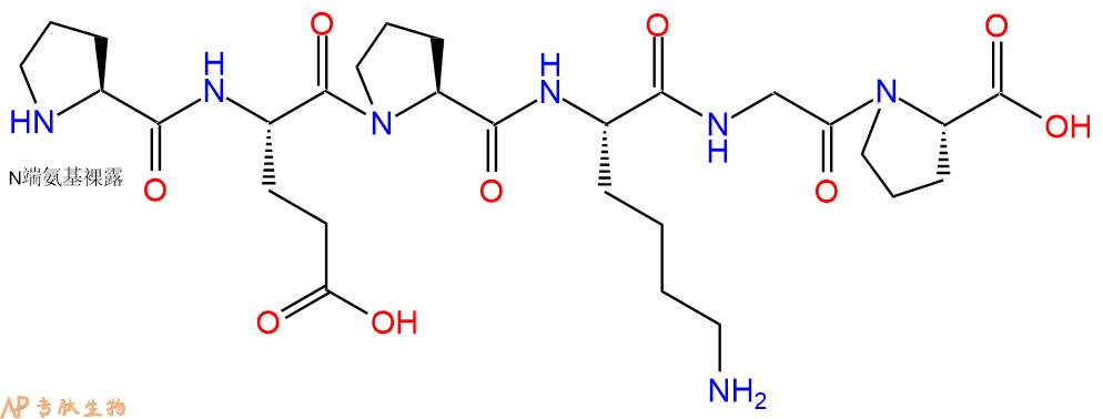专肽生物产品H2N-Pro-Glu-Pro-Lys-Gly-Pro-OH