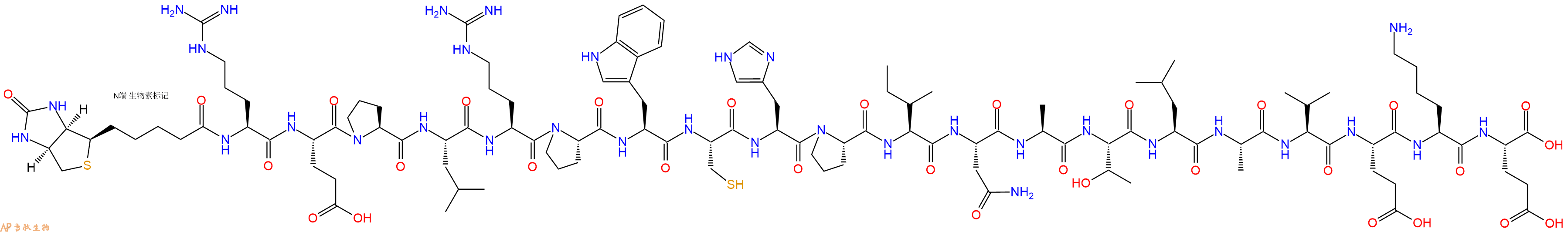 专肽生物产品Biotinyl-Arg-Glu-Pro-Leu-Arg-Pro-Trp-Cys-His-Pro-Ile-Asn-Ala-Thr-Leu-Ala-Val-Glu-Lys-Glu-OH