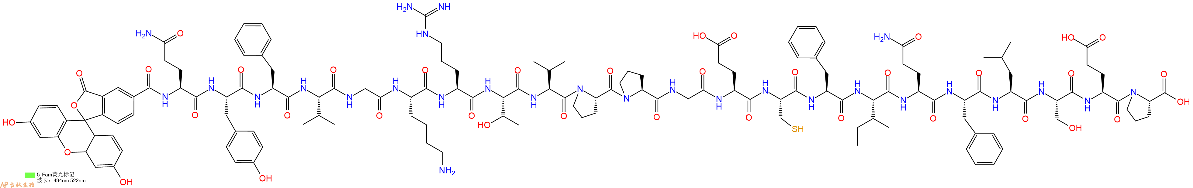 专肽生物产品5FAM-Gln-Tyr-Phe-Val-Gly-Lys-Arg-Thr-Val-Pro-Pro-Gly-Glu-Cys-Phe-Ile-Gln-Phe-Leu-Ser-Glu-Pro-OH