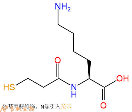 专肽生物产品Mpa-Lys-OH