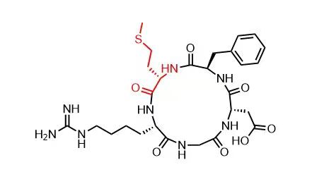 专肽生物产品RGD环肽：c(RGDfM)