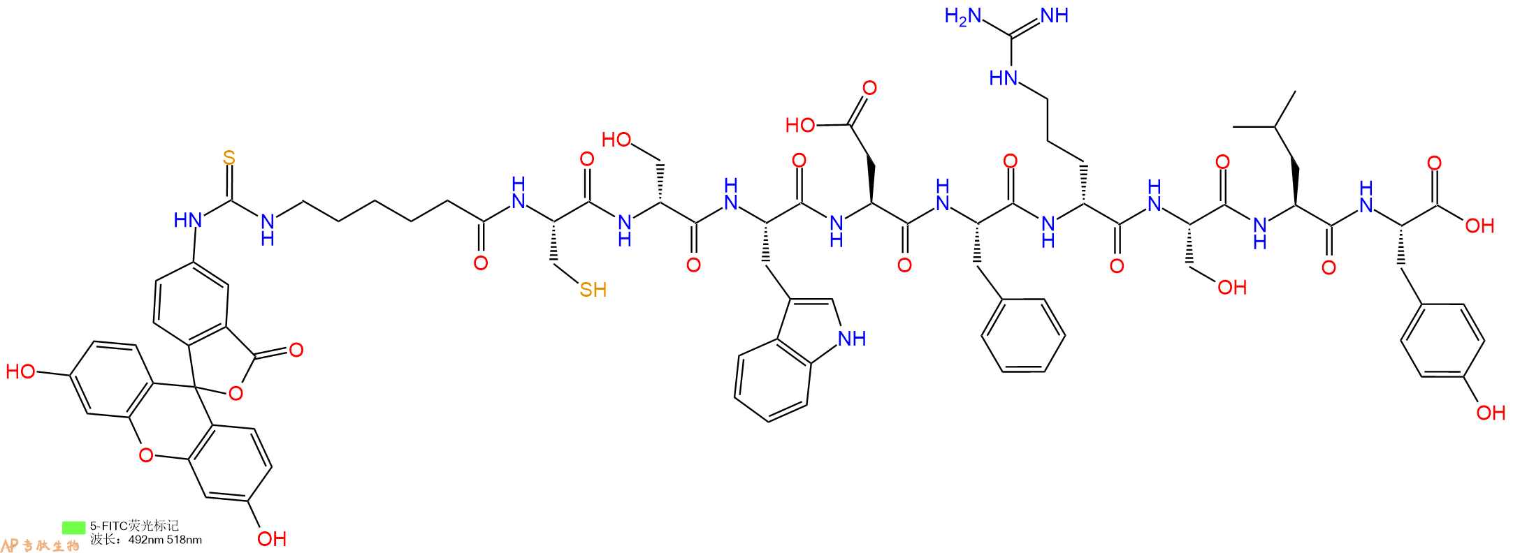 专肽生物产品5FITC-Ahx-Cys-DSer-Trp-Asp-Phe-DArg-Ser-Leu-Tyr-OH