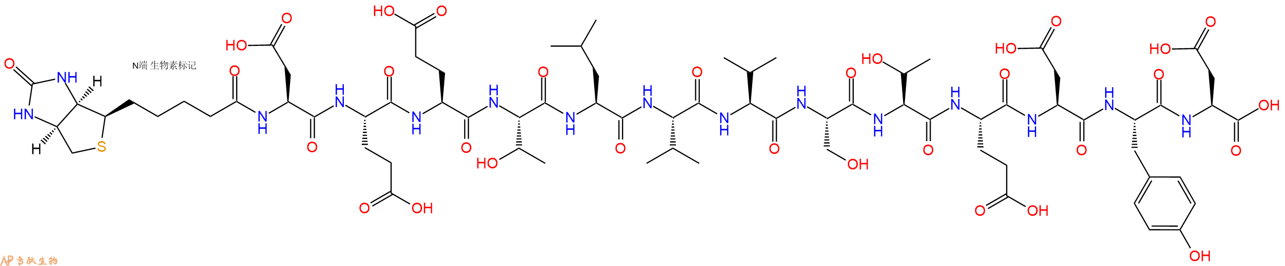 专肽生物产品Biotinyl-Asp-Glu-Glu-Thr-Leu-Val-Val-Ser-Thr-Glu-Asp-Tyr-Asp-OH